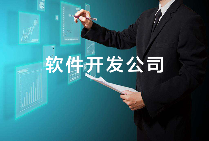 軟件開發(fā)公司.jpg
