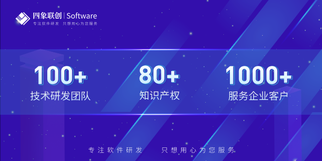 成都軟件開發公司.png