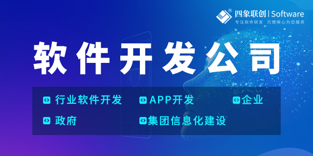 成都軟件開發.png